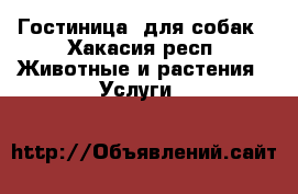 Гостиница  для собак - Хакасия респ. Животные и растения » Услуги   